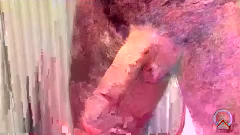 ritto44 online show from 05-15-26, 11:56