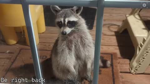 Ryan aka KeylimeRy online show from 02-28-25, 11:36