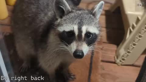 Ryan aka KeylimeRy online show from 09-21-25, 11:56