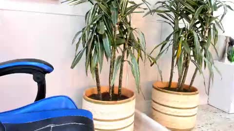 Snapshot of roan_birkin chatting on 07-17-26, 07:19 Roan Birkin online show from 07-17-26, 07:19