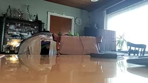 robke1966 online show from 01-22-25, 11:56