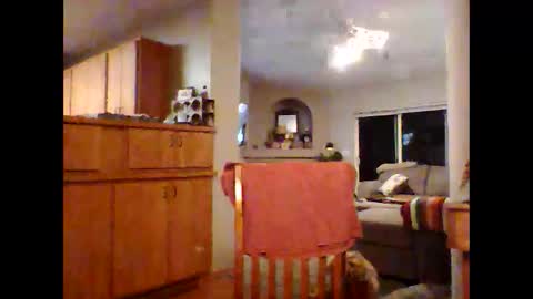 Snapshot of robo0000 chatting on 11-20-25, 01:06 robo0000 online show from 11-20-25, 01:06