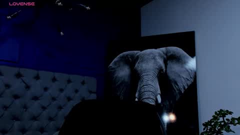 rocco_santos online show from 09-17-25, 08:27