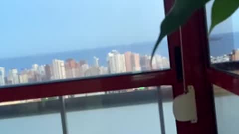 rogerbenid81 online show from 04-27-26, 07:01