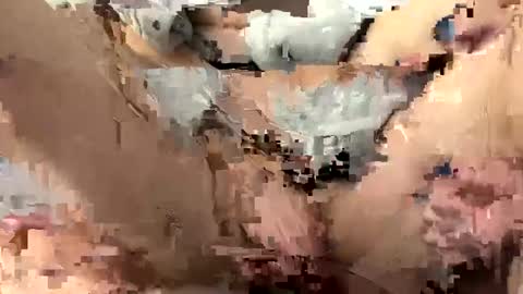 roidrager44 online show from 03-06-25, 03:45