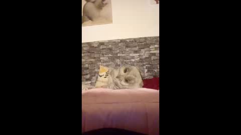 Snapshot of romylachienne chatting on 01-18-26, 02:59 romylachienne online show from 01-18-26, 02:59