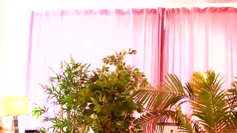 Snapshot of rosaliefleur chatting on 07-27-26, 08:21 Rosa online show from 07-27-26, 08:21