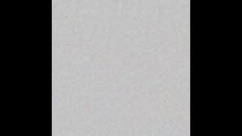 Rose online show from 10-23-25, 06:50