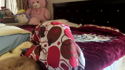 Snapshot of rose69904260 chatting on 07-30-26, 07:13 Rose and Jacks Pay Room online show from 07-30-26, 07:13