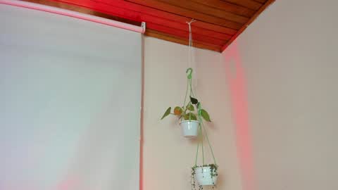 Lyla OF roselinedior online show from 02-04-25, 02:21