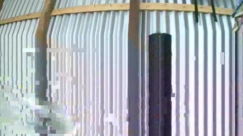 rosia online show from 01-10-26, 08:05