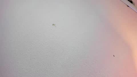 Snapshot of rosie_jhons chatting on 02-02-25, 03:21 rosie_jhons online show from 02-02-25, 03:21