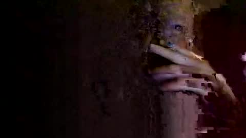 rotorranch online show from 10-02-25, 06:31