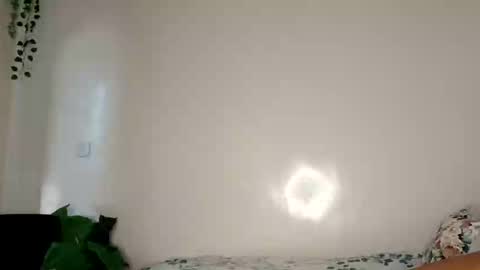 roundbootie online show from 04-26-26, 11:08