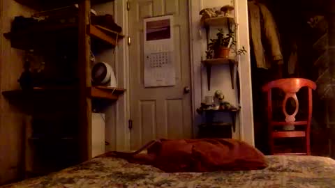 Snapshot of rp131313 chatting on 11-15-25, 08:11 rp131313 online show from 11-15-25, 08:11