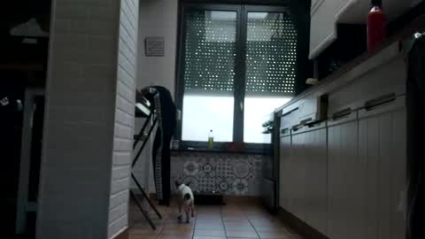Snapshot of ruan8080 chatting on 02-01-25, 10:48 petit cochon online show from 02-01-25, 10:48