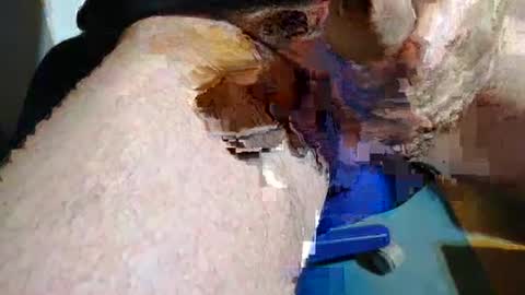 Snapshot of rudi_rudi_rudi_rudi chatting on 07-13-26, 01:36 rudi_rudi_rudi_rudi online show from 07-13-26, 01:36