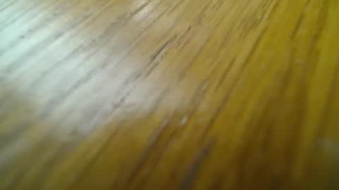 rustic69 online show from 02-24-25, 06:58