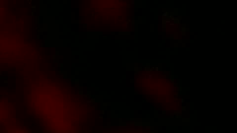 Ryan Star online show from 01-18-25, 08:10