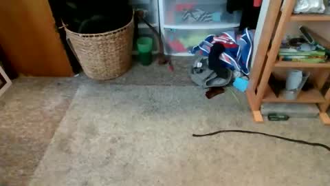 s_t_u_d_420 online show from 04-16-26, 09:39