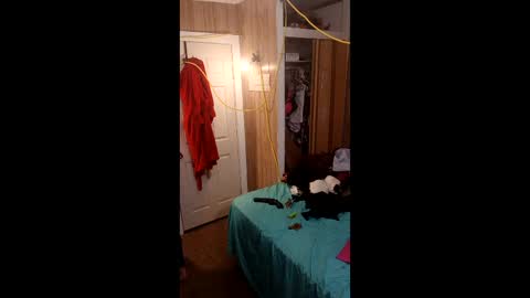 Snapshot of sailaway9694 chatting on 03-01-26, 10:34 PupTwink online show from 03-01-26, 10:34