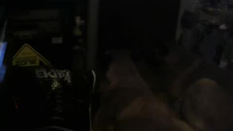 salaso138 online show from 02-14-25, 11:31