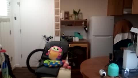 salis1981 online show from 09-25-25, 06:33