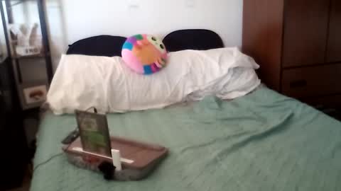 salis1981 online show from 10-17-25, 06:21