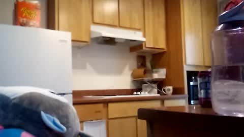 salis1981 online show from 12-18-25, 06:58