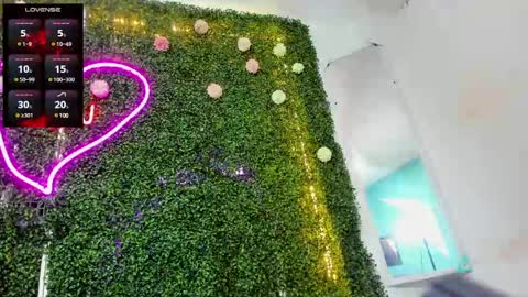 salome online show from 12-12-24, 10:20