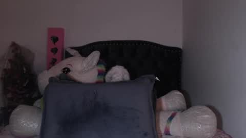 Snapshot of salomefox2 chatting on 02-07-25, 07:40 yenny online show from 02-07-25, 07:40