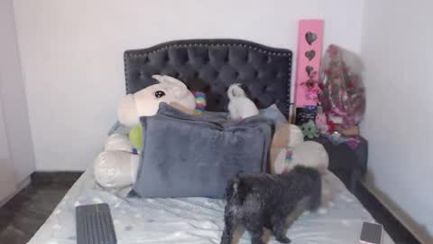 yenny online show from 01-06-26, 03:21