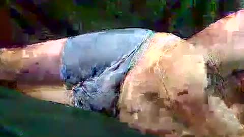 sam5554401727 online show from 11-10-25, 06:40