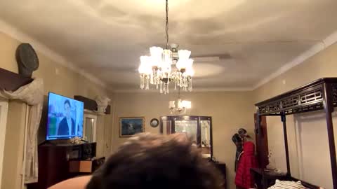 Snapshot of sam_papithebarber chatting on 11-29-25, 04:37 sam_papithebarber online show from 11-29-25, 04:37