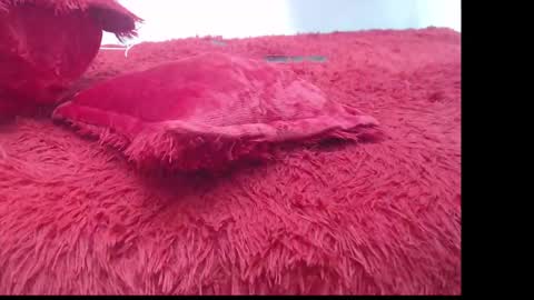 samael_leviatan online show from 03-08-25, 05:01