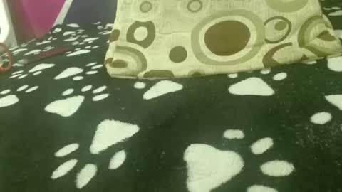 SAMANTHARUIZ18 online show from 03-28-26, 04:06