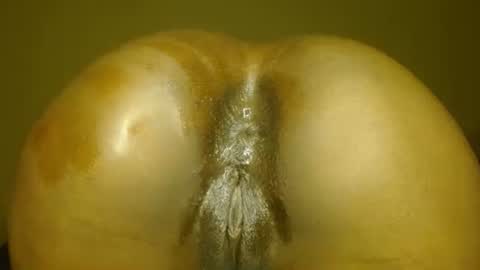 Snapshot of samanthjey chatting on 11-14-25, 07:12 manth online show from 11-14-25, 07:12