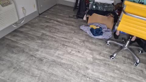 samboiamtho online show from 01-03-25, 12:43