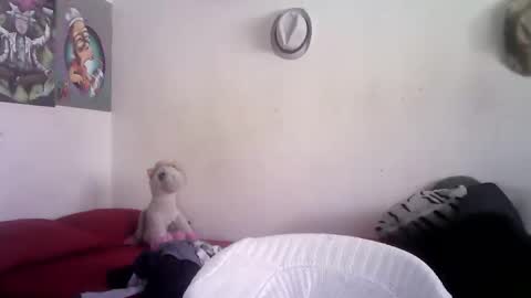 sammy_mcklain online show from 03-01-26, 03:36