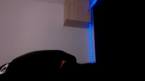   online show from 12-29-24, 03:00