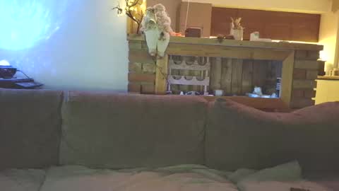 sanroom online show from 12-02-25, 03:51