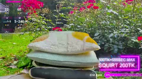 Snapshot of sansa_staark chatting on 10-17-25, 07:44 sansa_staark online show from 10-17-25, 07:44