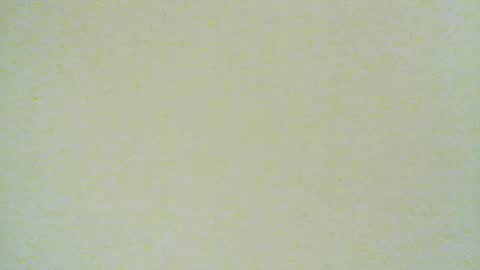 santiagodeamor7077 online show from 08-04-26, 04:15