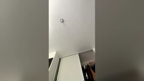 The toy online show from 03-26-26, 02:55