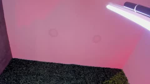 Snapshot of sarah_bonneth chatting on 02-26-26, 11:53 Sarah Bonneth online show from 02-26-26, 11:53