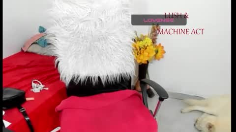 Snapshot of sarah_sweett chatting on 05-15-26, 05:42 Sarah online show from 05-15-26, 05:42