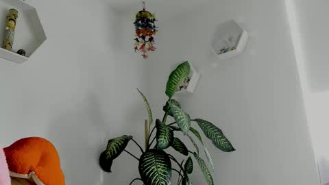 Snapshot of saray2312 chatting on 02-02-26, 09:24 Saray online show from 02-02-26, 09:24