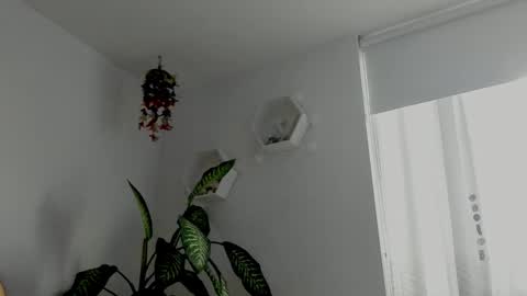 Snapshot of saray2312 chatting on 02-06-26, 10:46 Saray online show from 02-06-26, 10:46