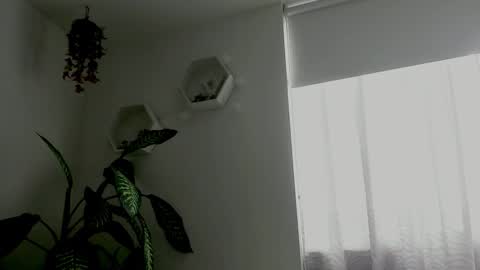 Saray  online show from 02-09-26, 09:41