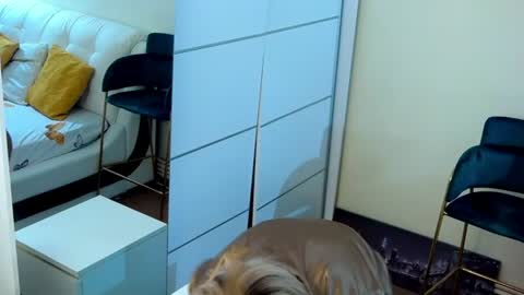 Sasha online show from 07-13-26, 05:49